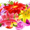 Floral Floral