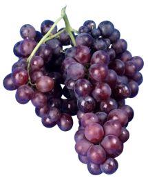 Uva Moscatel Galego Roxo