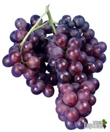 Uva Moscatel Roxo