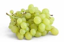 Uva Muscadelle