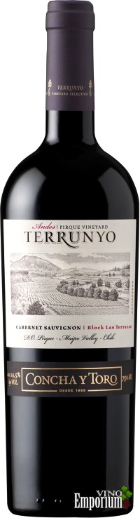 Ficha Técnica: Terrunyo Cabernet Sauvignon (2011)
