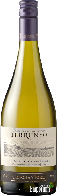 Ficha Técnica: Terrunyo Sauvignon Blanc (2012)