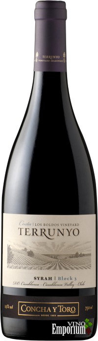 Ficha Técnica: Terrunyo Syrah (2010)