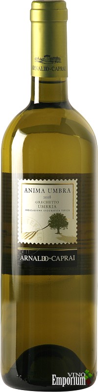 Ficha Técnica: Anima Umbra Bianco IGT (2008)