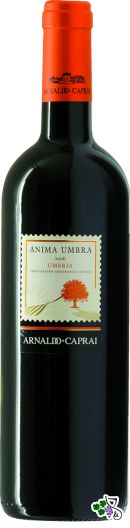 Ficha Técnica: Anima Umbra Rosso IGT (2006)