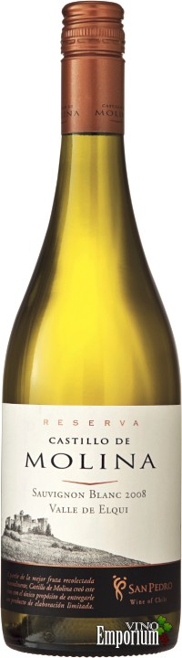 Ficha Técnica: Castillo de Molina Sauvignon Blanc (2008)