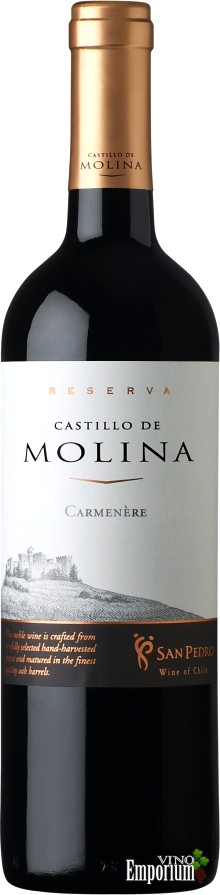 Ficha Técnica: Castillo de Molina Carmenère Reserva (2005)